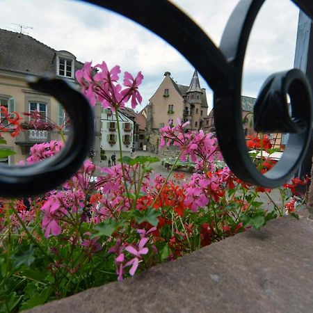 Gites Au Chateau Fleuri Эгишем Номер фото