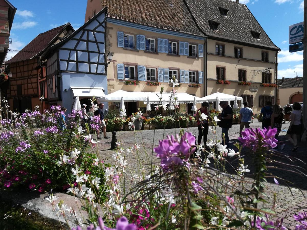 Gites Au Chateau Fleuri Эгишем Экстерьер фото