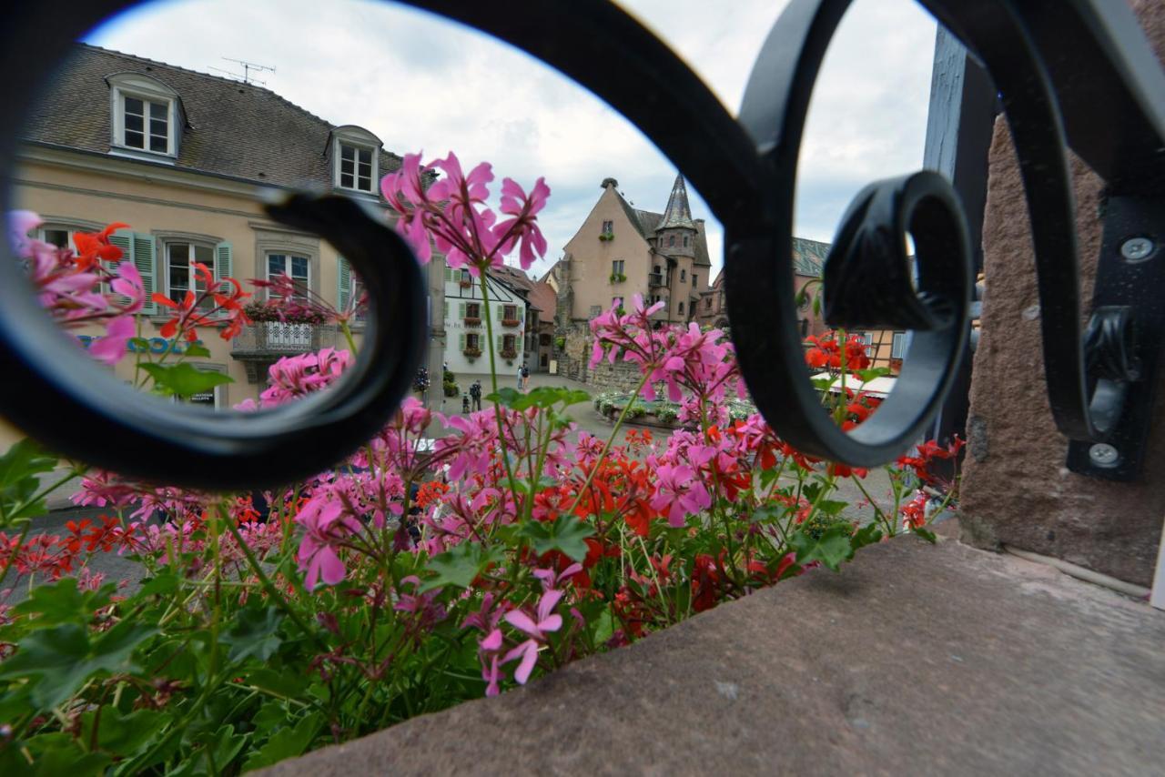 Gites Au Chateau Fleuri Эгишем Номер фото