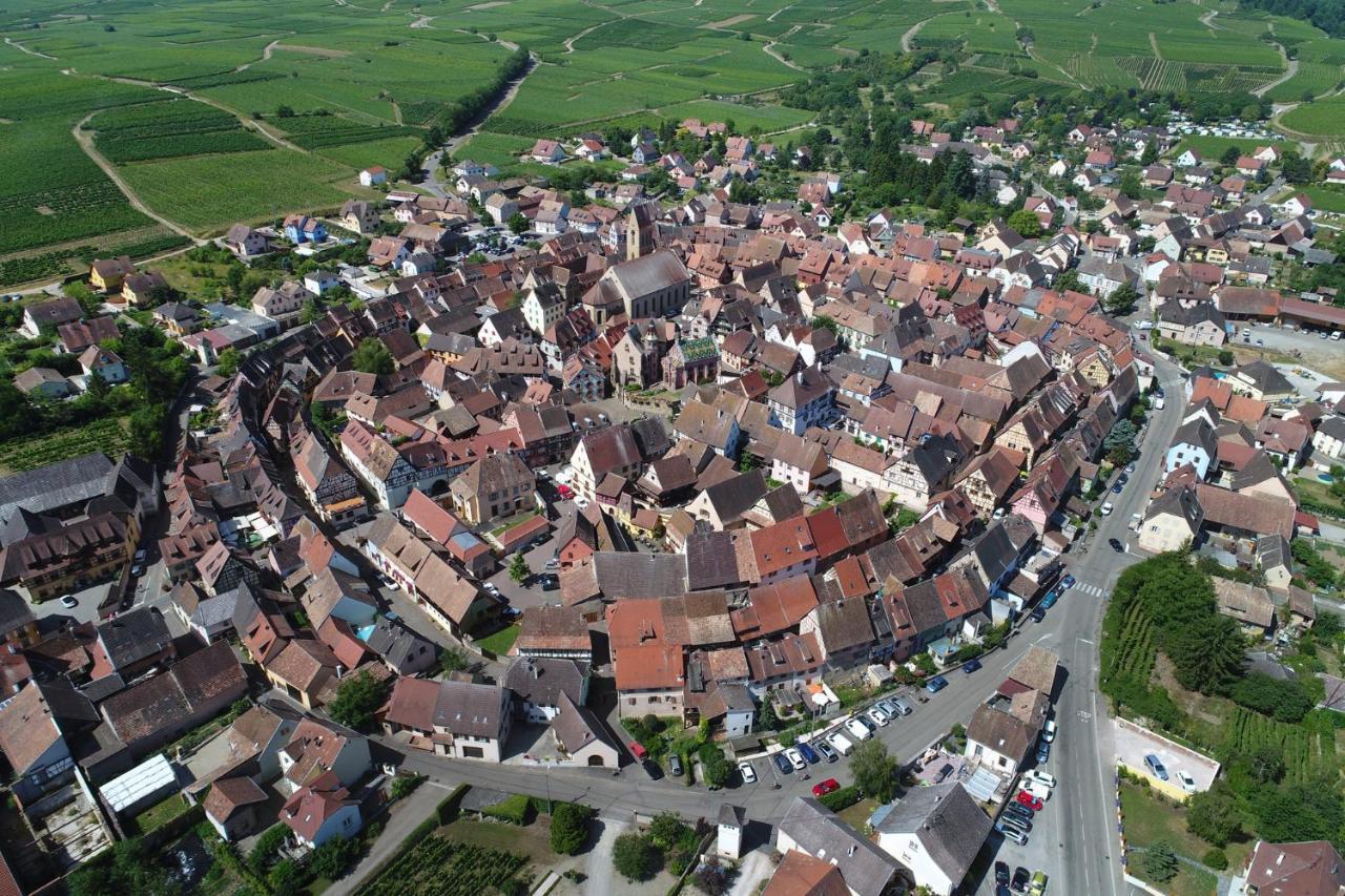 Gites Au Chateau Fleuri Эгишем Номер фото
