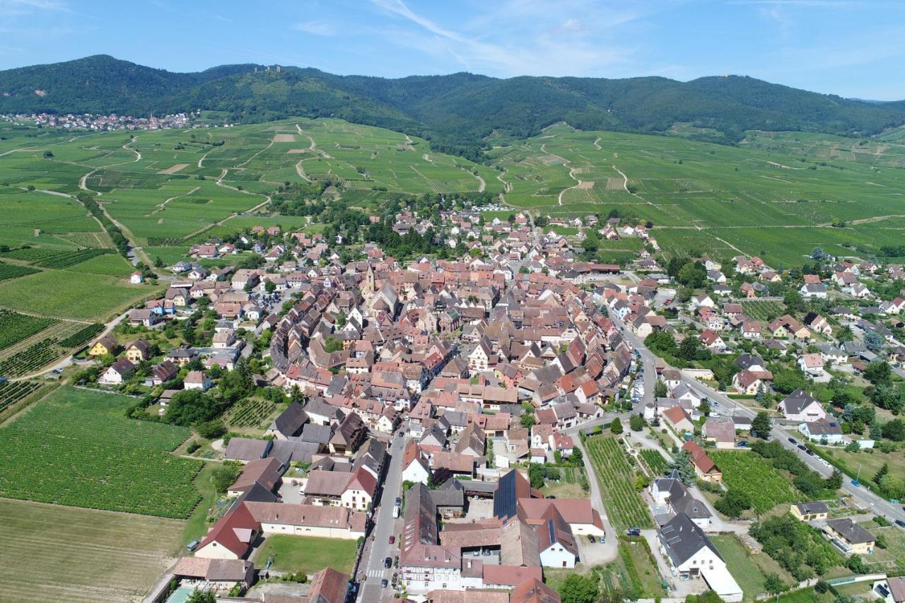 Gites Au Chateau Fleuri Эгишем Номер фото